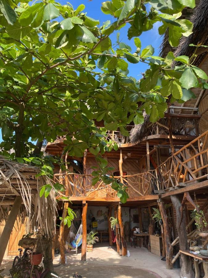 Hostal Olmito Canoa Εξωτερικό φωτογραφία